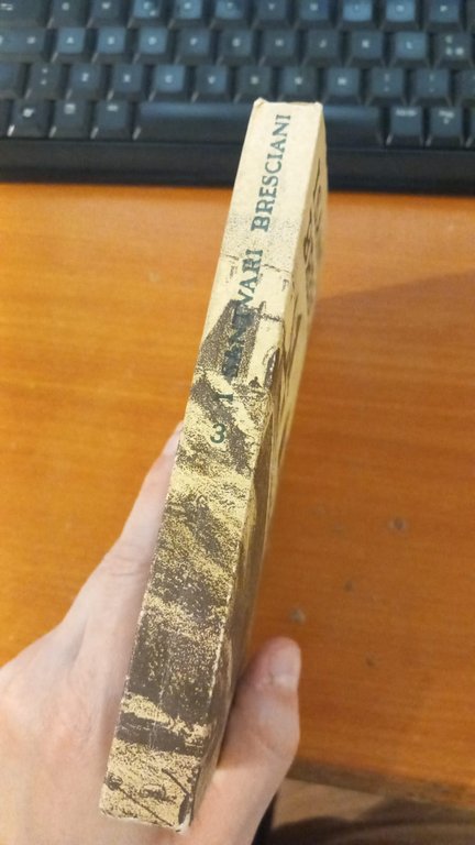 I santuari bresciani. Libro terzo | Immagine Gallery 7
