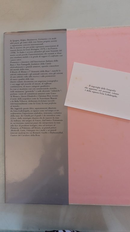 Il segreto delle rose | Immagine Gallery 6