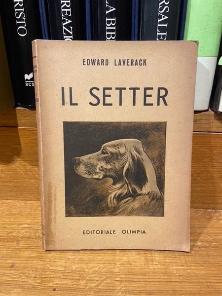 Il Setter