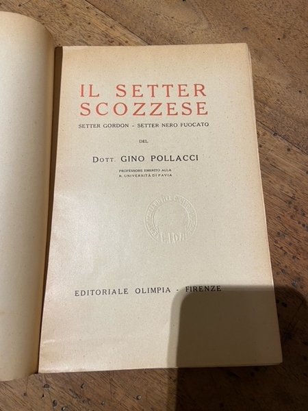 Il Setter Scozzese