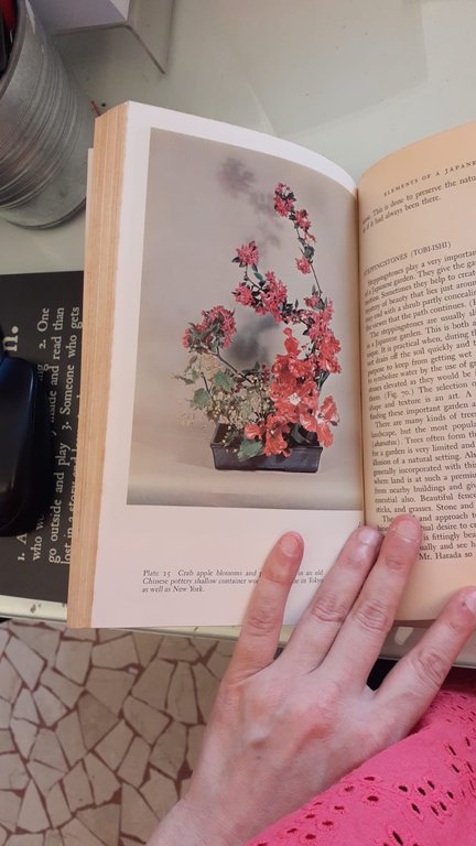 Japanese flower arrangement notebook | Immagine Gallery 9