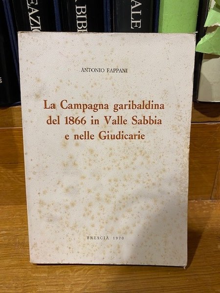 La Campagna garibaldina del 1866 in Valle Sabbia e nelle …