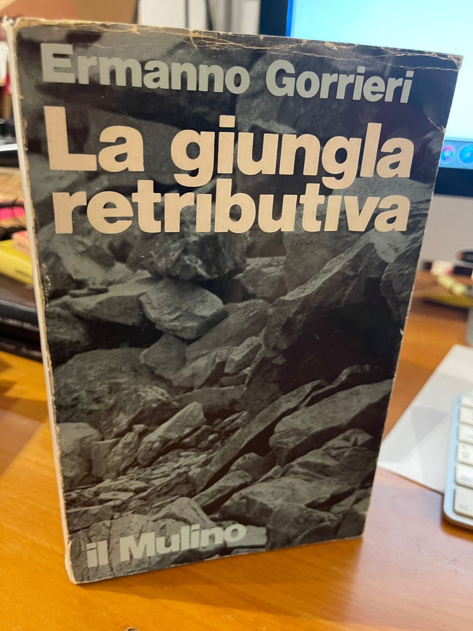 La giungla retributiva