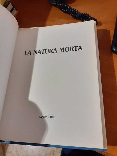 La natura morta