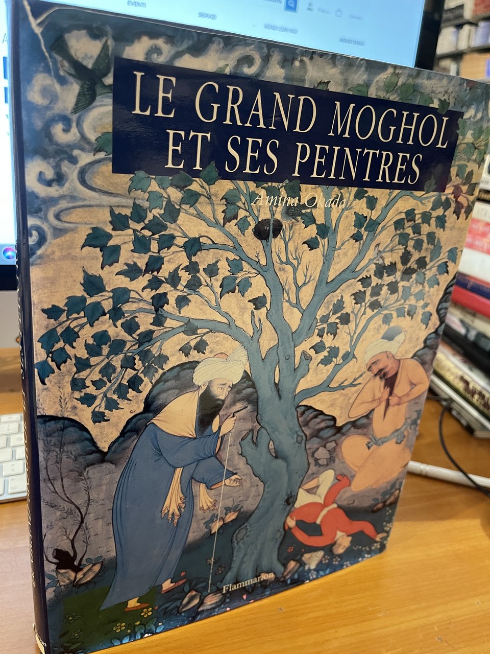 Le grandi moghol et ses peintres