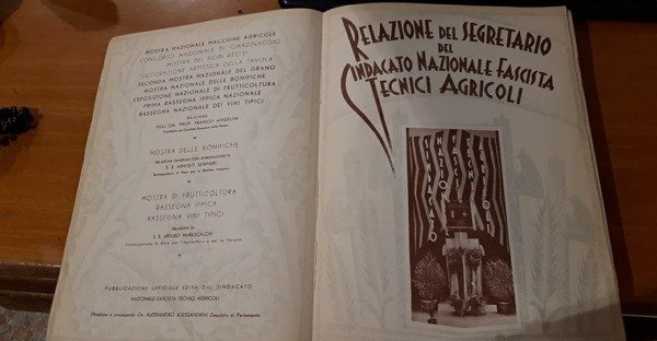 Le manifestazioni agricole del decennale