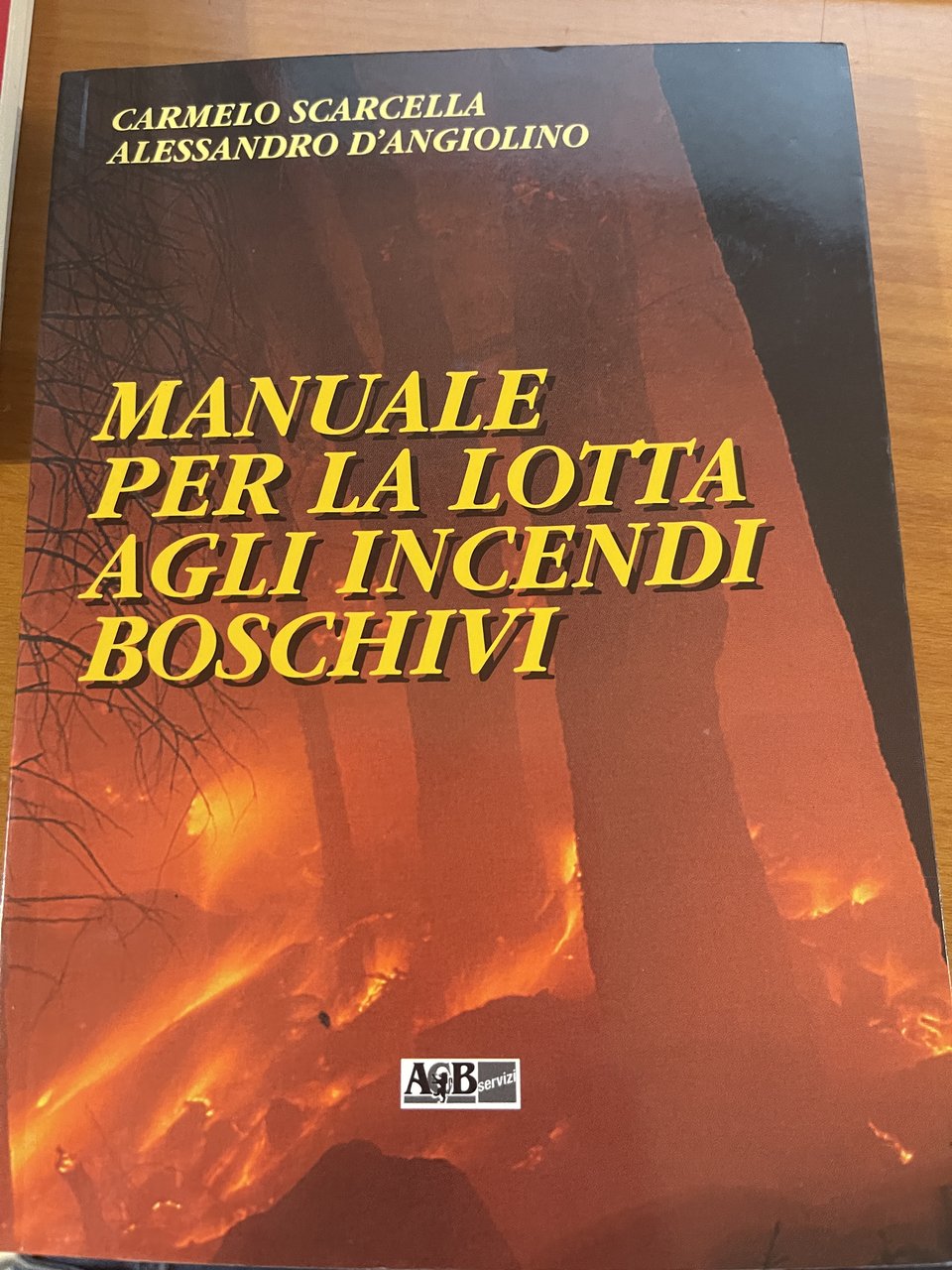 Manuale per la lotta agli incndi Boschivi