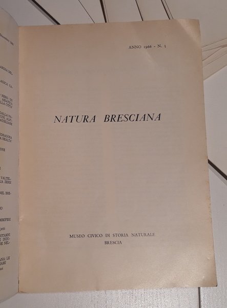 Natura Bresciana