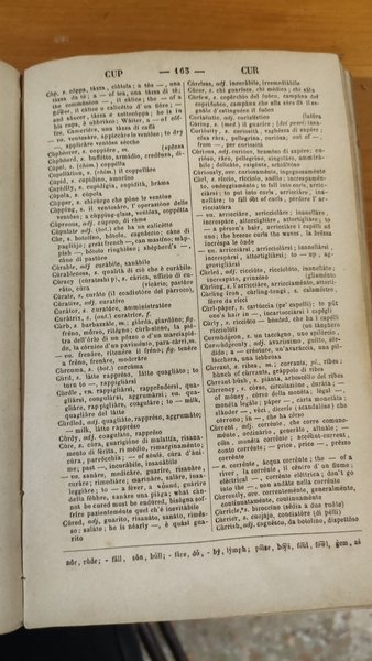 New english and italian dictionary