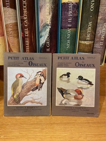 Petit atlas des oiseaux