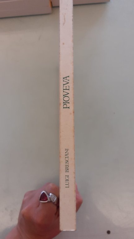 PIOVEVA | Immagine Gallery 3