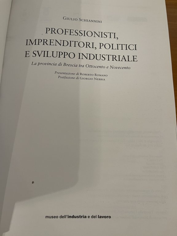 Professionisti imprenditori politici sviluppo industriale