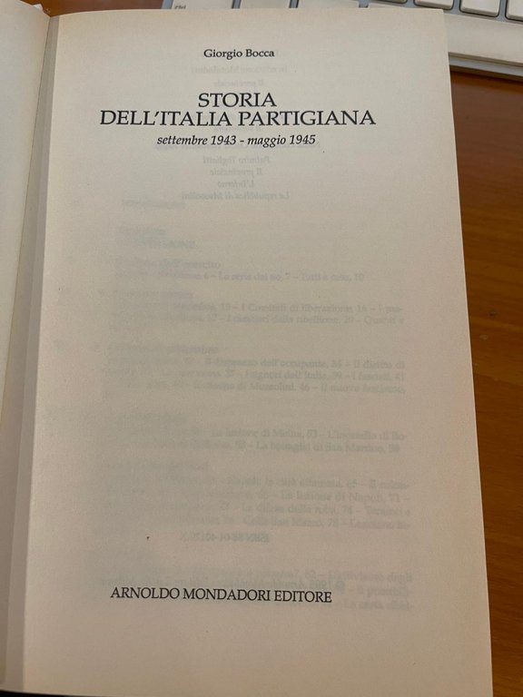 Storia dell'Italia partigiana