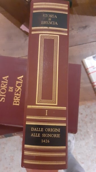 Storia di Brescia vol.2