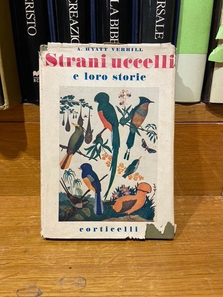 Strani uccelli e loro storie