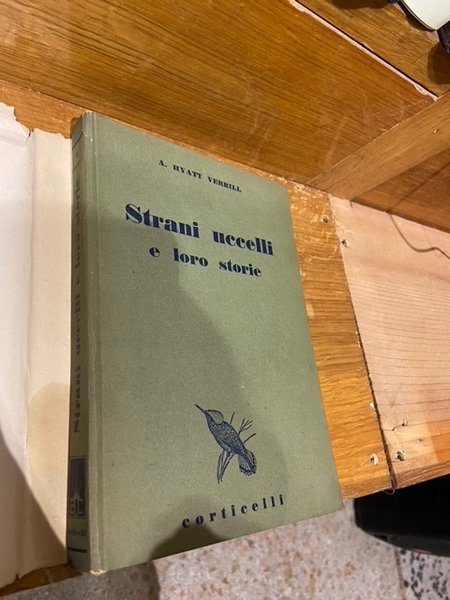 Strani uccelli e loro storie