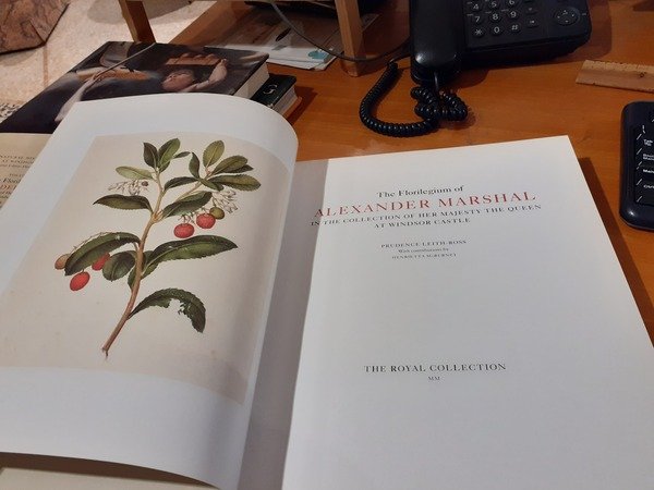 The florilegium of Alexander Marshal at Windsor Castle