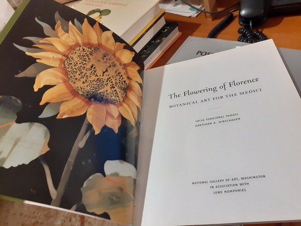 The flowering of Florence. Botanical art for the Medici