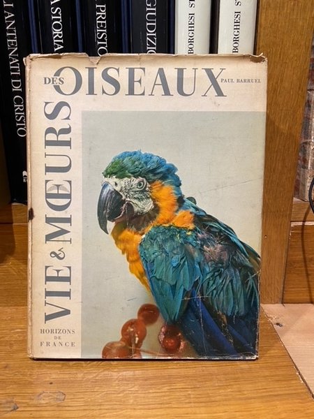 vie et moeurs des oiseaux