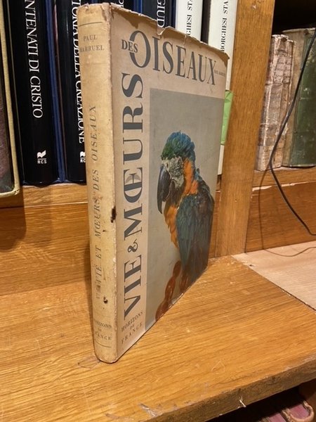 vie et moeurs des oiseaux