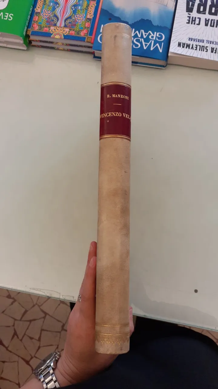 Vincenzo Véla | Immagine principale