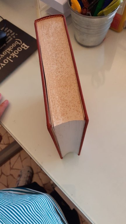 Vocabolario bresciano-italiano con appendice e rettificazioni | Immagine Gallery 4