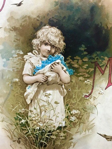 ANIME LIETE DI MEMINI
