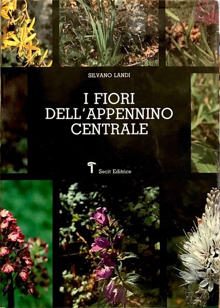 I FIORI DELL' APPENNINO CENTRALE Immagini, descrizioni, leggende, storie e …