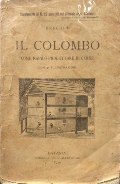 IL COLOMBO COME RAPIDO PRODUTTORE DI CARNE