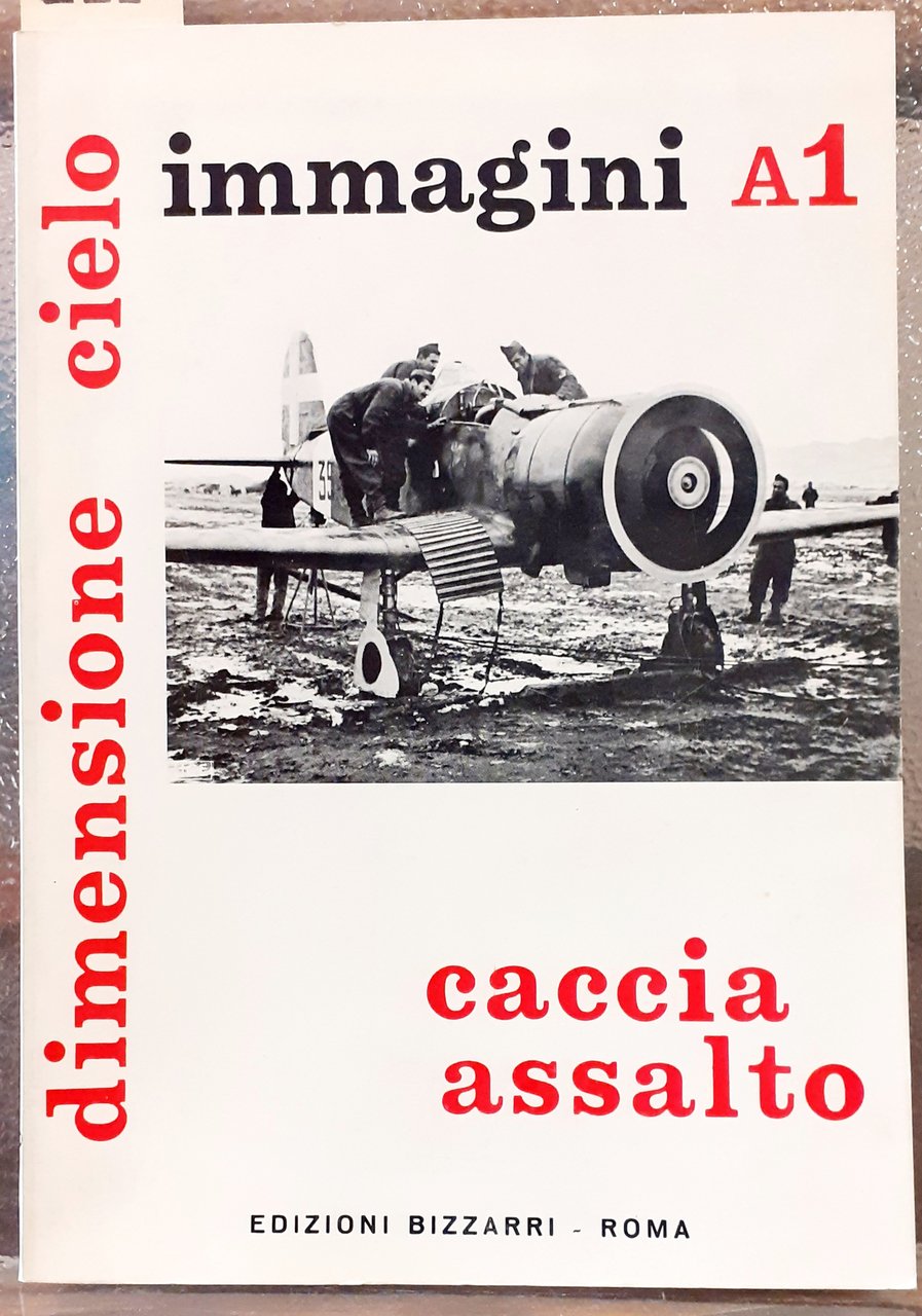AEREI ITALIANI NELLA 2A GUERRA MONDIALE. CACCIA ASSALTO. A1.
