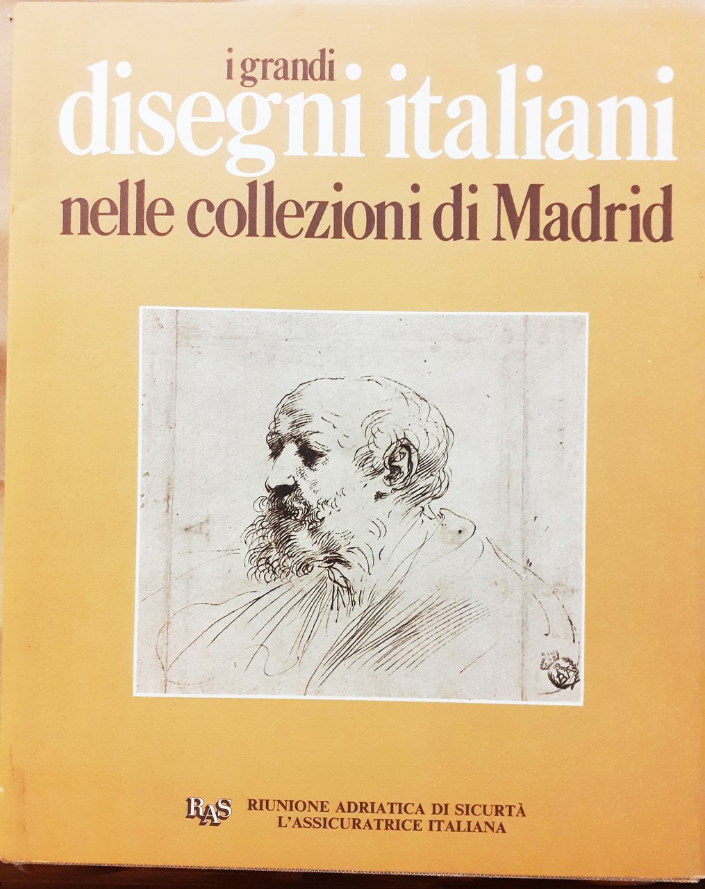 I GRANDI DISEGNI ITALIANI NELLE COLLEZIONI DI MADRID.