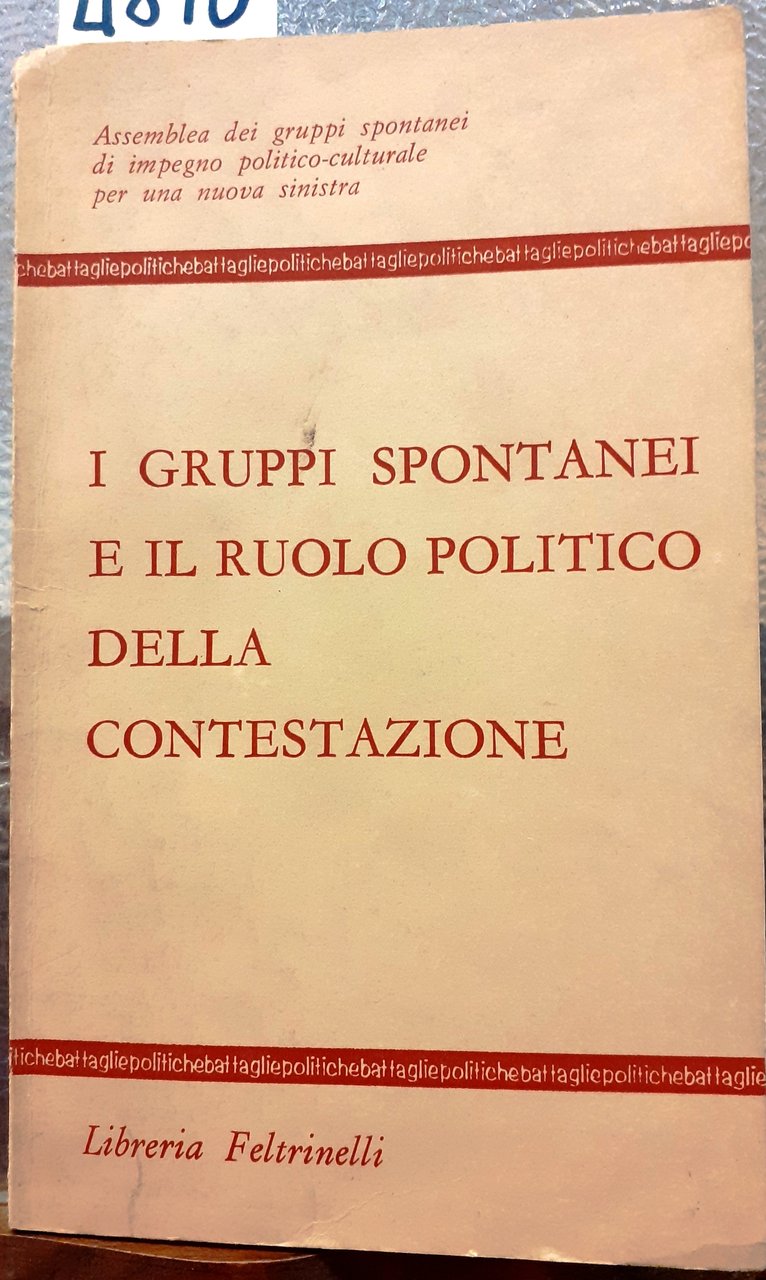 I GRUPPI SPONTANEI E IL RUOLO POLITICO DELLA CONTESTAZIONE. Assemblea …