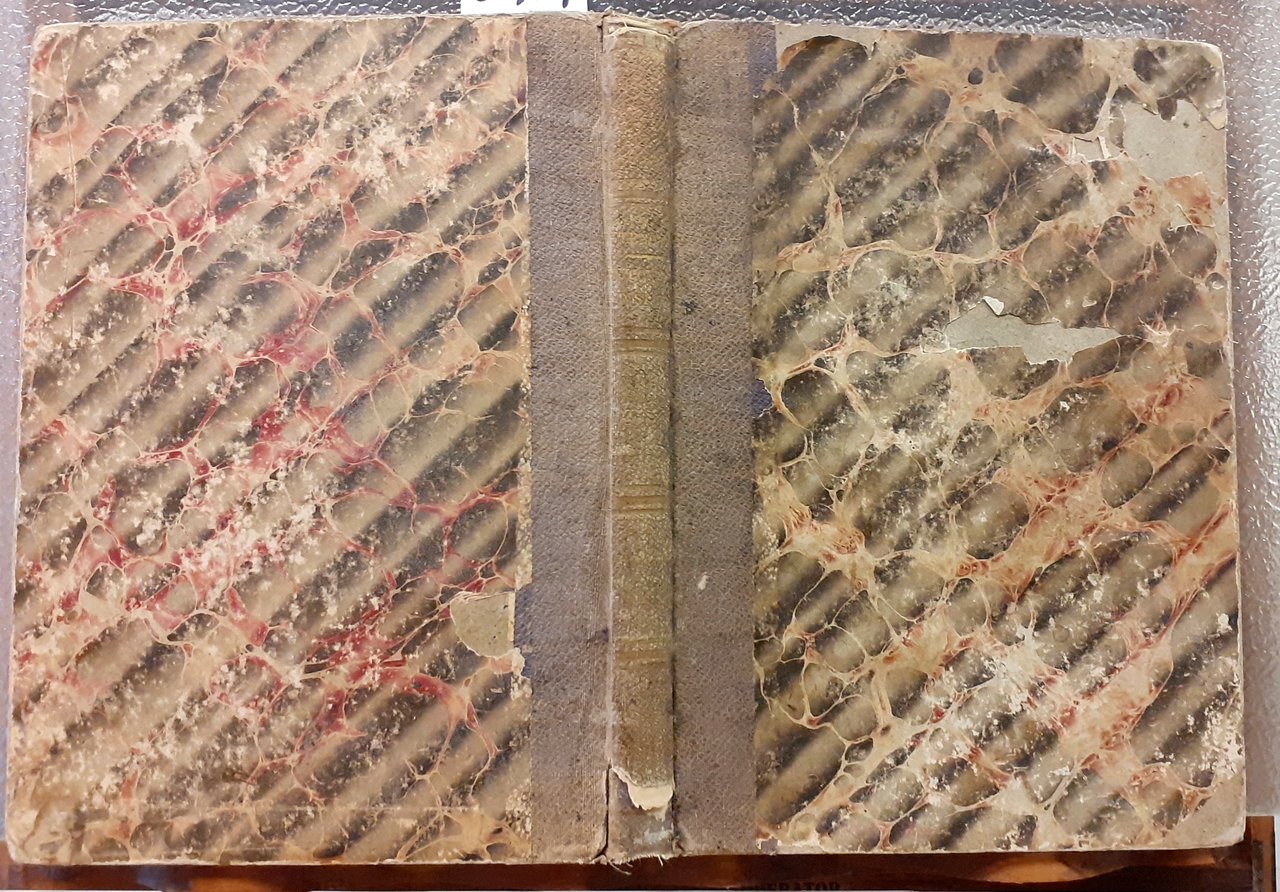 IL COLPO DI STATO, OVVERO PARIGI NEL 2 DICEMBRE 1851.