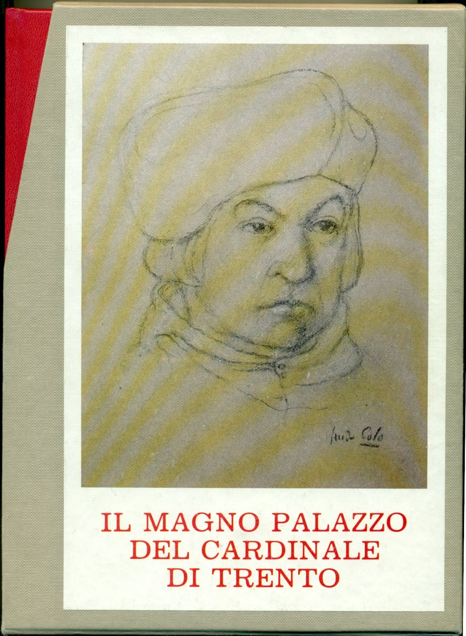 IL MAGNO PALAZZO DEL CARDINALE DI TRENTO: impressioni visive ed …