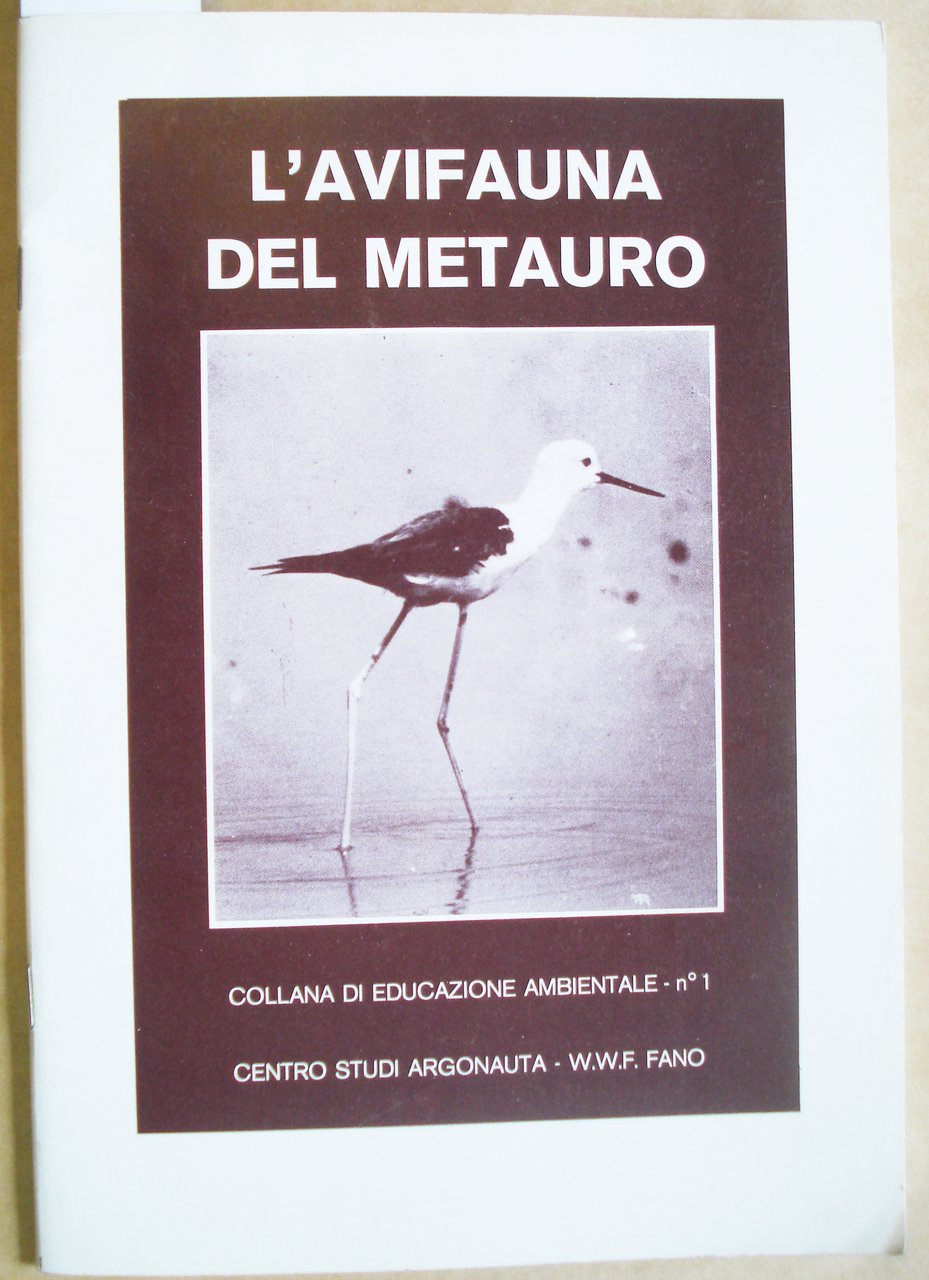 L'AVIFAUNA DEL METAURO. OSSERVAZIONI CONDOTTE NEL BASSO CORSO DEL METAURO …