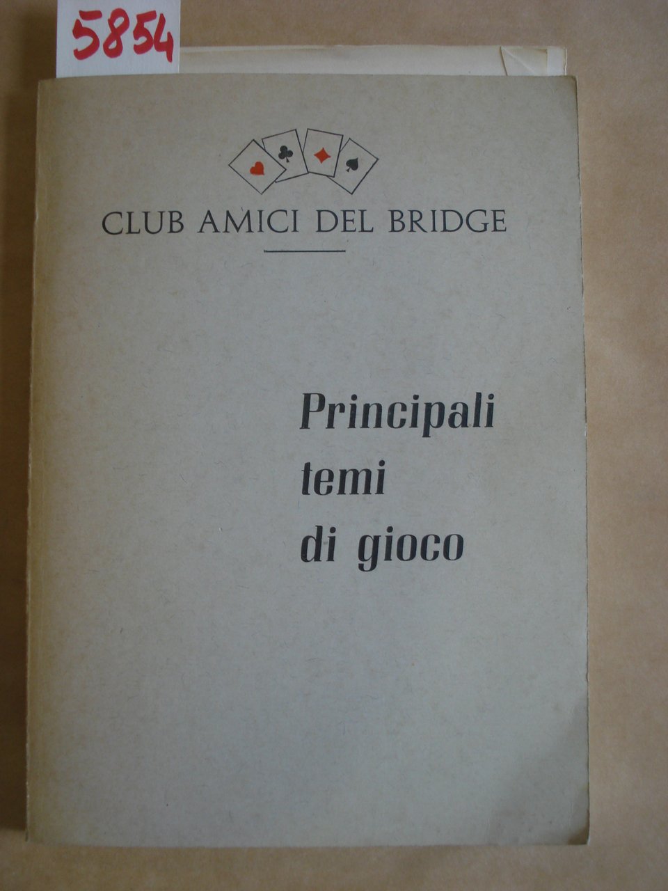 PRINCIPALI TEMI DI GIOCO.