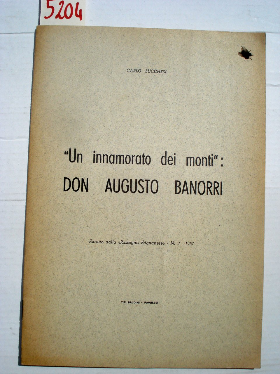 UN INNAMORATO DEI MONTI: DON AUGUSTO BANORRI.