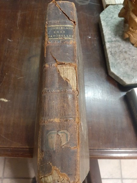 Traité philosophique des loix naturelles