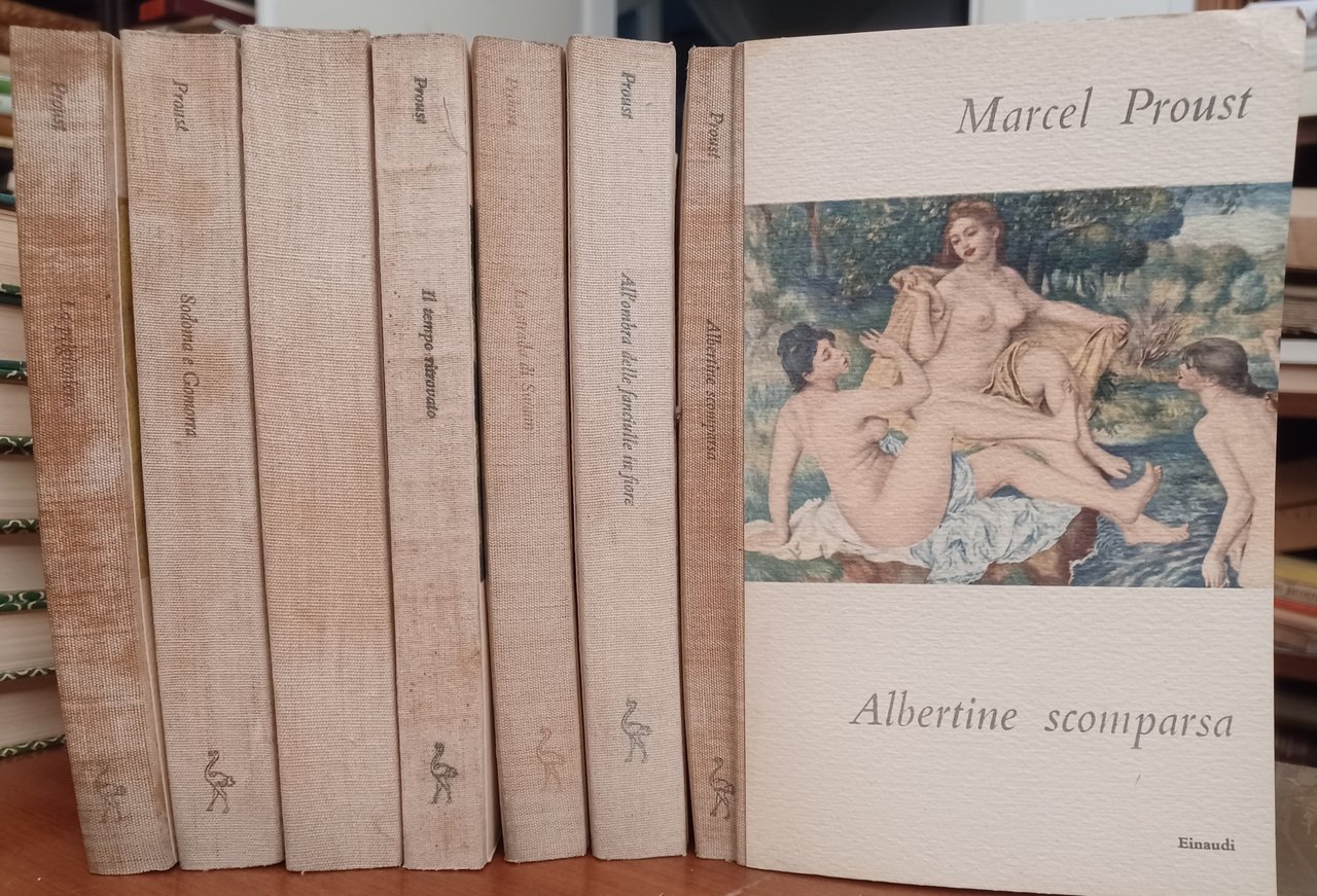 Alla ricerca del tempo perduto (7 vol.) | Immagine principale