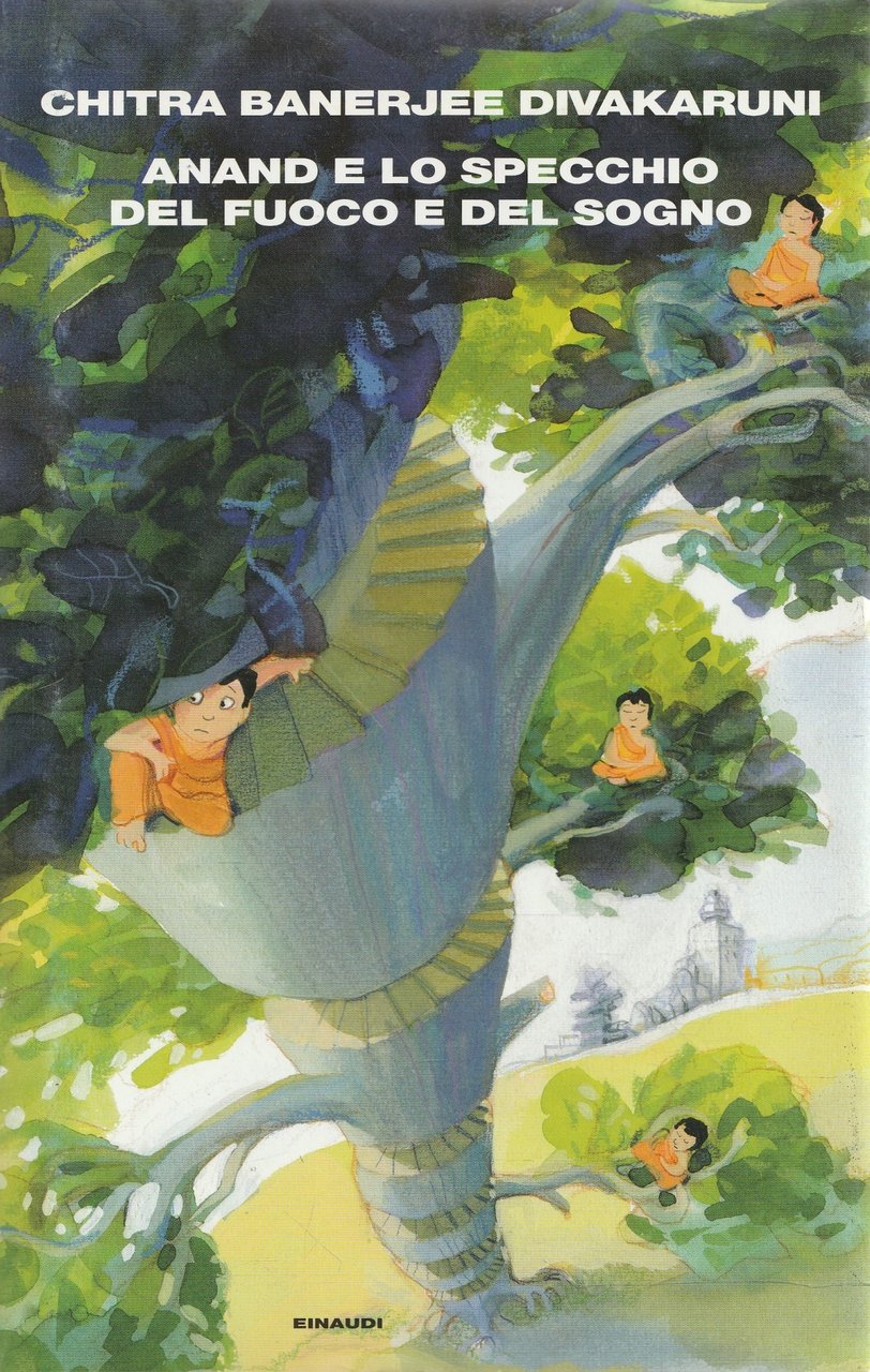 Anand e lo specchio del fuoco e del sogno : …