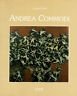 Andrea Commodi. | Immagine principale