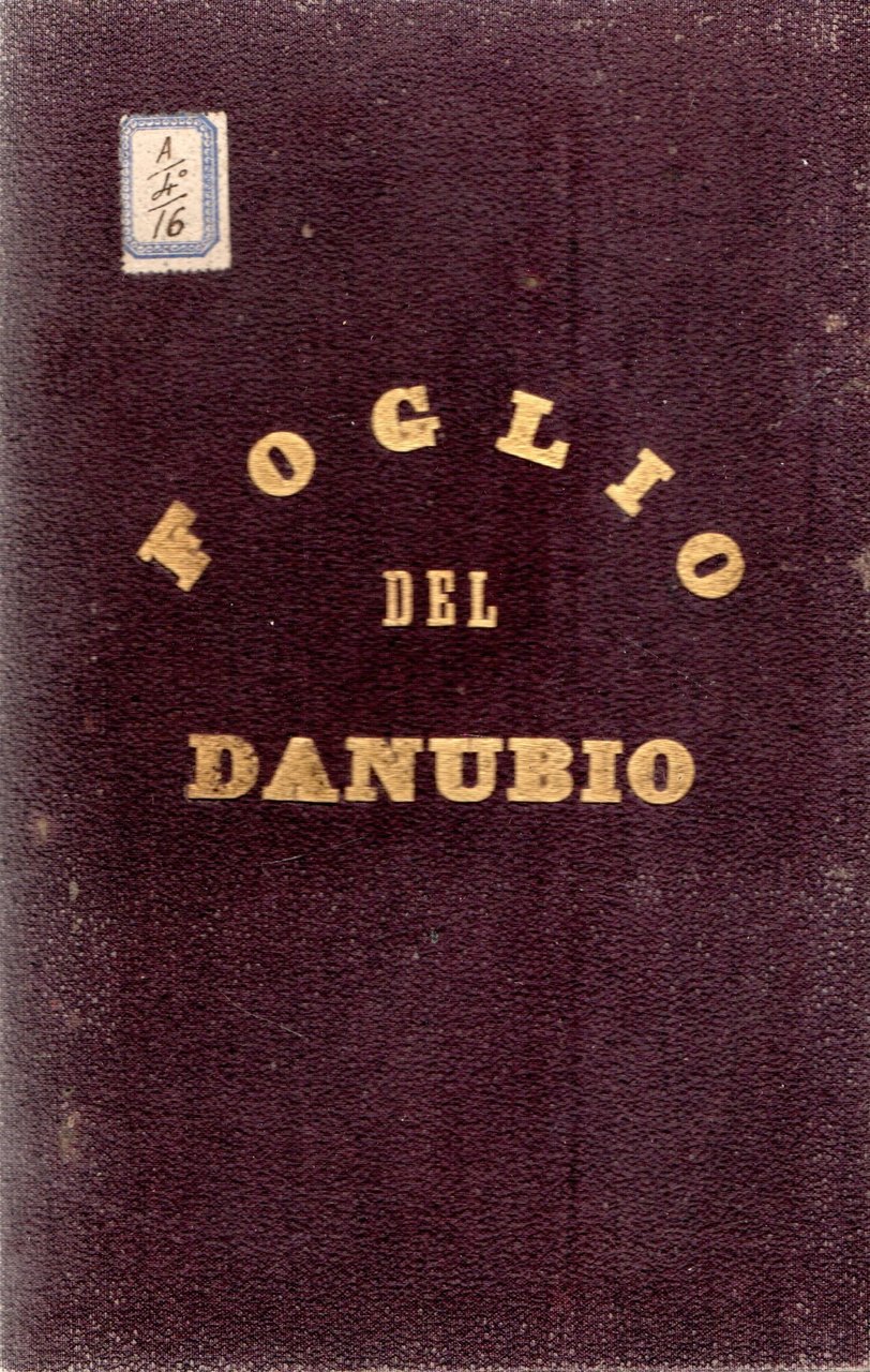 CARTA MILITARE-STATISTICA DELL'EUROPA CENTRALE. FOGLIO DEL DANUBIO. | Immagine principale