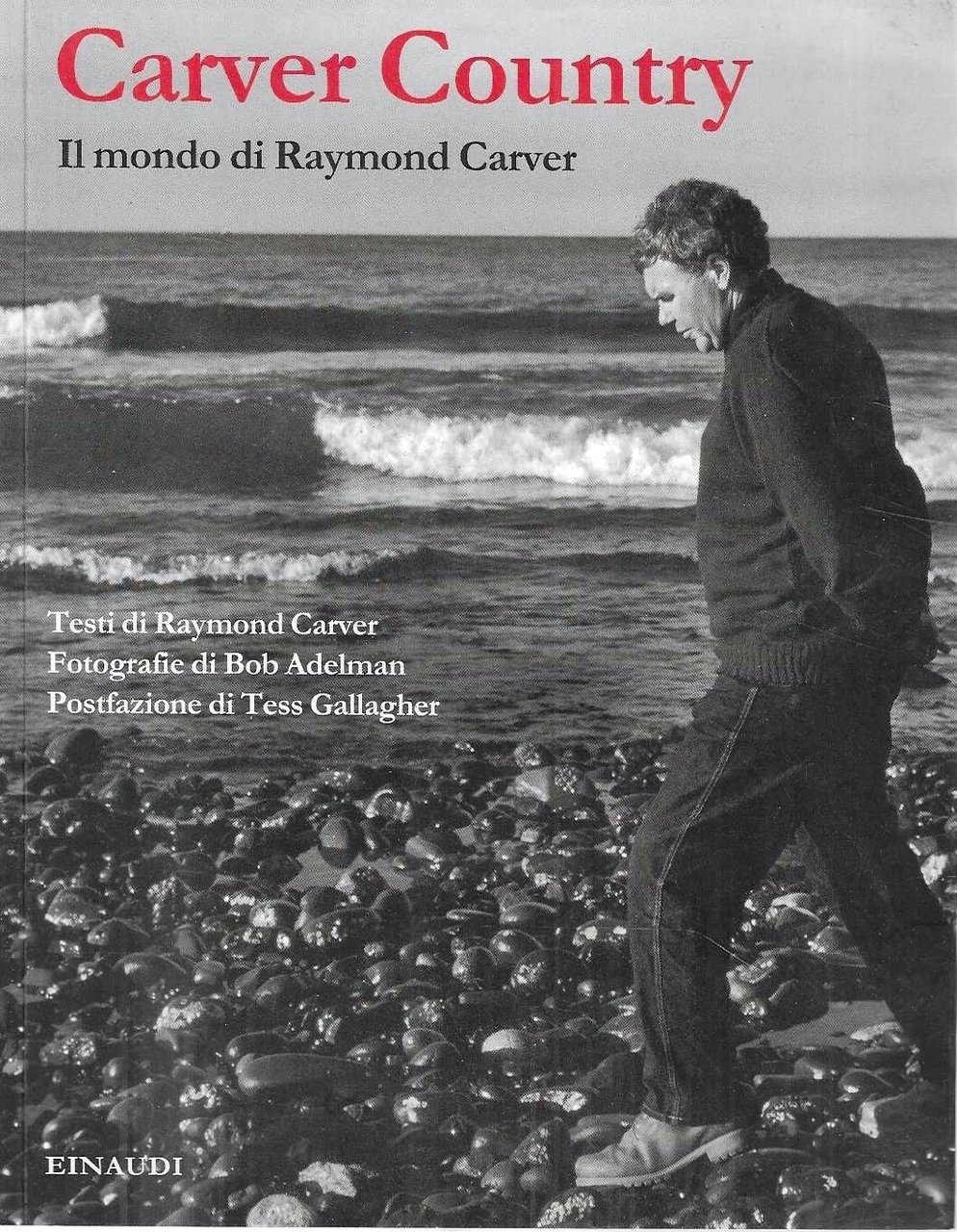 Carver Country. Il mondo di Raymond Carver