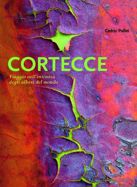 Cortecce. Viaggio nell'intimità degli alberi del mondo. Ediz. illustrata
