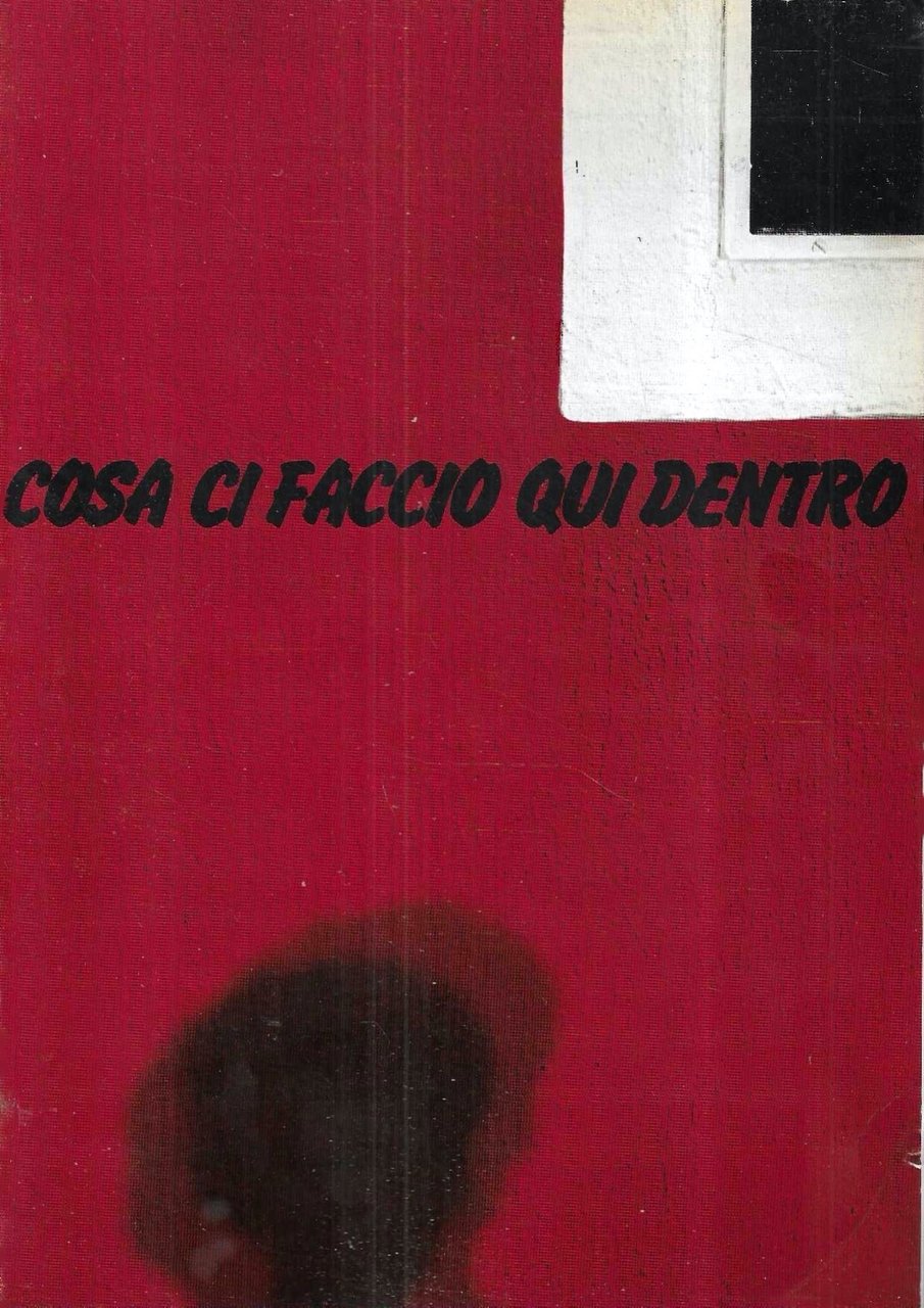 Cosa ci faccio qui dentro. Itinerario all'interno del Ferrante Aporti | Immagine principale