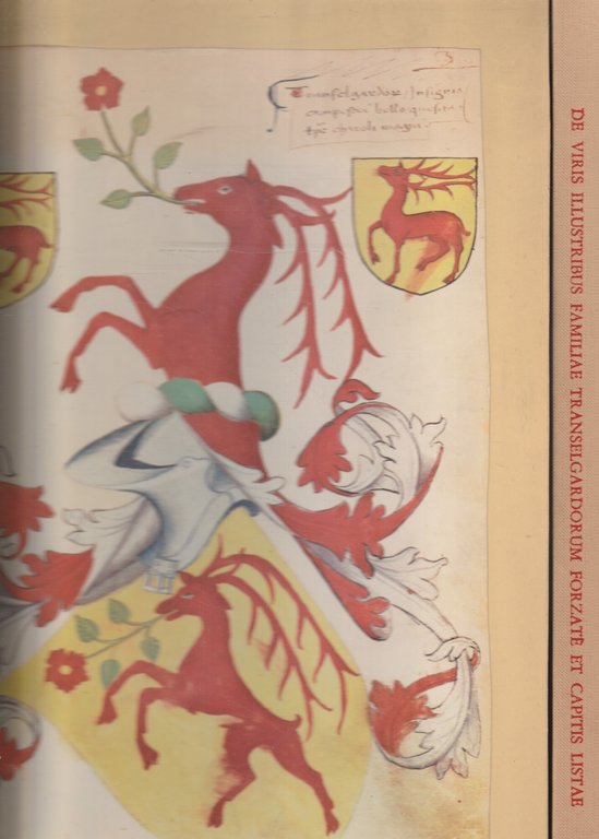 De viribus illustribus familae Transelgardorum Forzatè et Capitis Listae. Codice … | Immagine Gallery 1