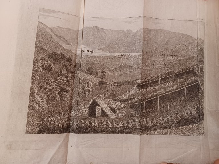 Del Governo delle Pecore spagnuole e italiane e dei vantaggi … | Immagine Gallery 2