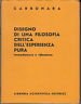 Disegno di una filosofia critica dell'esperienza pura. Immediatezza e riflessione
