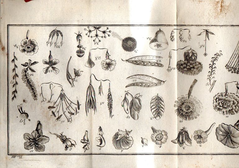 Elementi d'agricoltura | Immagine Gallery 3