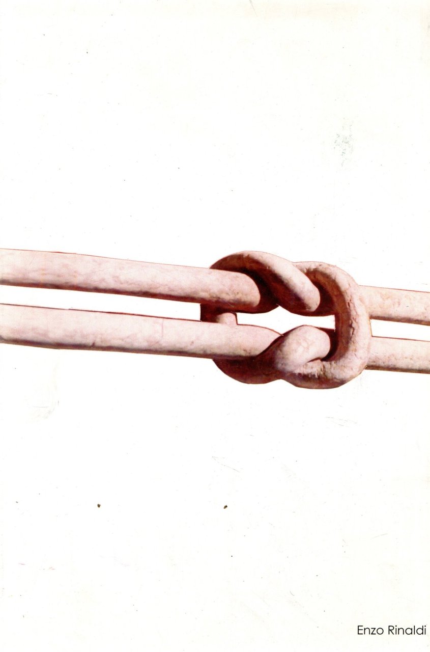 Enzo Rinaldi | Immagine principale